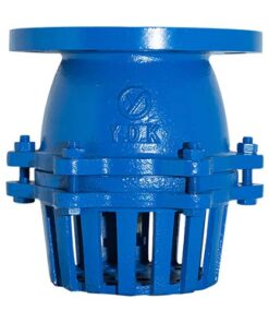 RỌ BƠM (FOOT VALVE / FOOT STRAINER)